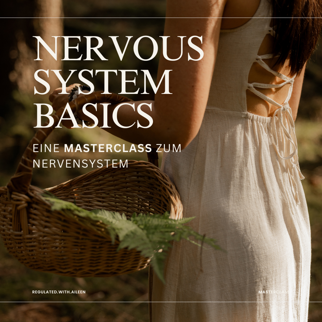 Masterclasses – Lerne in deinem eigenen Tempo